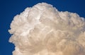 BULGING WHITE CUMULUS CLOUD Royalty Free Stock Photo