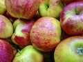 Bulk Apples in Bin. Ripe sweet apples. Big and healthy red-green fruits. Fresh organic apples from above for sale. Close-up. Royalty Free Stock Photo