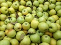 Bulk Apples in Bin. Ripe sweet green apples. Fresh organic apples from above for sale. Close-up. Full frame Royalty Free Stock Photo