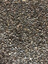 Bulk black tea