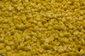 Bulk of boiled yellow corn grains texture Royalty Free Stock Photo