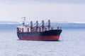 A bulk carrier at roadstead in winter Royalty Free Stock Photo