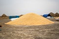 Bulk of corn grains, Selective focus.The bright orange corn kernels are simply stunning