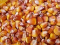 Bulk of corn texture