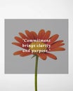 Orange Daisy Flower with Commitment Brings Clarity and Purpose Quote for Motivational Wall Art Print Royalty Free Stock Photo