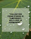 Dewy Green Leaf with Validation from Others is Temporary Self-Love is Permanent Quote for Inspiration Office Canvas Royalty Free Stock Photo