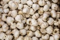 Bulk garlic on the market Royalty Free Stock Photo