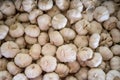Bulk Garlic for Sale Royalty Free Stock Photo