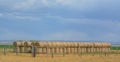 Bulk hay stacked and ready for the farmers to feed their livestock in Colorado Royalty Free Stock Photo