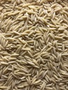 Bulk orzo, grain-shaped macaroni