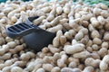 Bulk peanuts at the Farmer's Market. Royalty Free Stock Photo