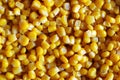 Yellow canned corn grains as background