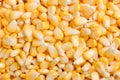 Bulk of yellow corn grains Royalty Free Stock Photo