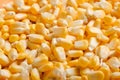 Bulk of yellow corn grains Royalty Free Stock Photo