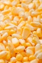 Bulk of yellow corn grains Royalty Free Stock Photo