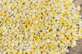 Bulk of yellow corn grains texture Royalty Free Stock Photo