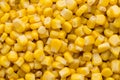 Bulk of yellow corn grains texture.