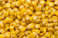 Bulk of yellow corn grains texture.