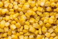 Bulk of yellow corn grains texture.