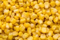 Bulk of yellow corn grains texture.