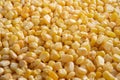 bulk of yellow corn grains texture macro Royalty Free Stock Photo