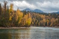 Bulkley River - Forest Fall Colors Royalty Free Stock Photo