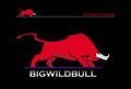 Bull, attacking bull, big wild red bull Royalty Free Stock Photo