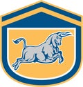 Bull Attacking Charging Shield Retro Royalty Free Stock Photo