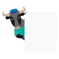 Bull banner Royalty Free Stock Photo