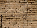 Bull bas-relief, Ishtar gate, Babylon Royalty Free Stock Photo