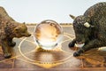 Bull and bear market, world stock exchange symbol for high and low season concept, bear and bull figures with the shinny globe