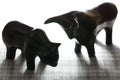 Bull and bear Royalty Free Stock Photo