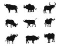 Bull bison or buffalo silhouettes vector Royalty Free Stock Photo