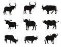 Bull bison or buffalo silhouettes vector