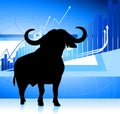 bull on blue stock market graph background