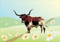 Bull on camomile field Royalty Free Stock Photo