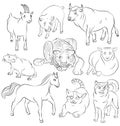 Bull, cat, dog, goat, horse, pig, rat, sheep, tiger