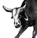 Bull charcoal illustration