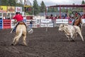 Bull charges cowboy on horse.