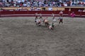 A bull charges through a group of young men.