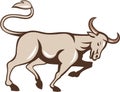 Bull Charging Side Cartoon