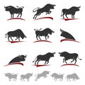 Bull collection set. Vector