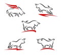 Bull collection set. Vector