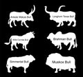 Bull collection vector silhouette illustration isolated on black. Muskox, Musk ox beef. Powerful animal symbol.