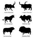 Bull collection vector silhouette illustration isolated on white.