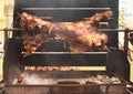 Bull cooked on opened fire Royalty Free Stock Photo