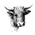 Bull, Cow, Bison, Buffalo Head Portrait. Digital Ink Drawing