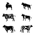 Bull and cow set. Isolated on white background Royalty Free Stock Photo