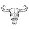 Bull Skull With Horns. Vintage Black Vector Engraving Illustration