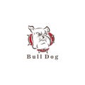 Bull dog head logo design illustration vector clip art Royalty Free Stock Photo